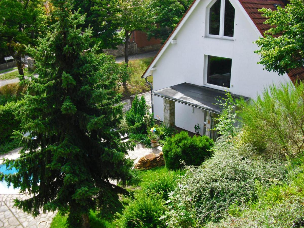 Apartments zum Henker Quedlinburg Buitenkant foto